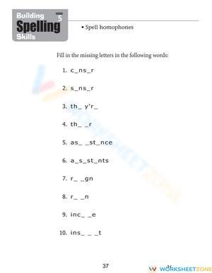 Printable Homophones Spelling Worksheet | Grades 5-8