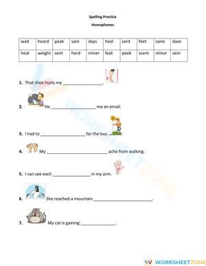 Homophones Practice