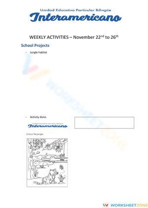 Weekly activities 29