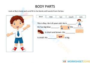 Body Part