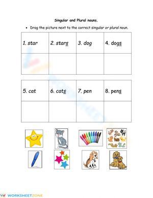 Singular and pluran nouns