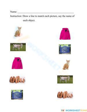 Match the pictures