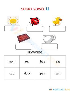 Practice Short Vowel Sound 'u' with Engaging Exercises