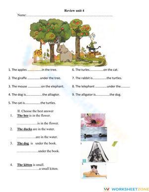 Preposition