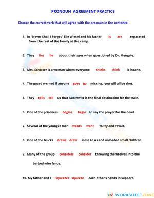 Practicing Pronoun Verb  Agreement
