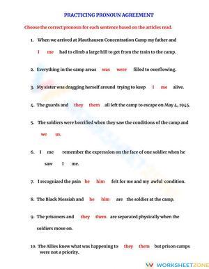 Practicing Pronoun Agreement
