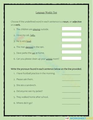 Language test jan 22nd