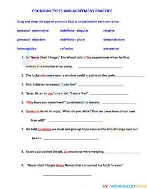 Drag and Drop Types of Pronouns