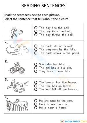 Reading Sentences