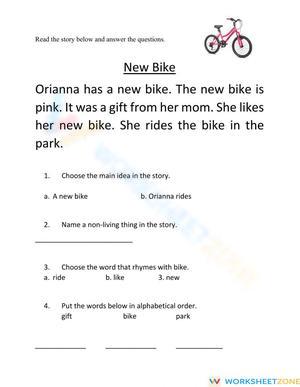  Reading Comprehension Worksheet – New Bike Story