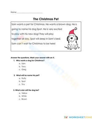 Grade 2 Reading Comprehension — Printable No-Prep Worksheet