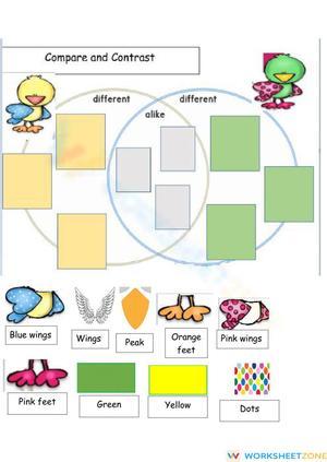 Grade 1 Comparing Birds — Printable No-Prep Worksheet