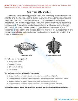 RI.4.5 Worksheet: Text Structure — Grade 4 Aligned