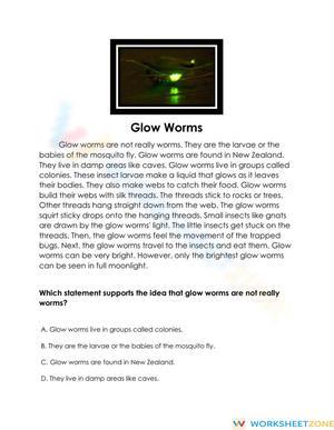 RI 4.2 Worksheet: Glow Worms Main Idea — Grade 4 Essential