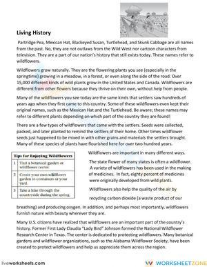 Compare-Contrast Comp Passage 4