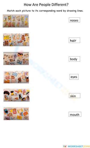 How Are People Different? Matching