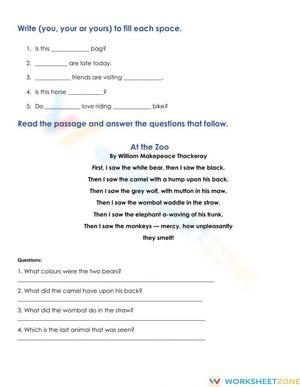 Language Arts Assessment