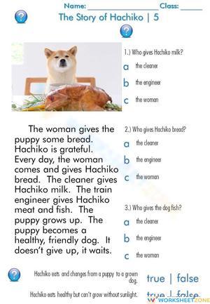 Hachiko Story Reading Worksheet | Grade 2-4 Essential