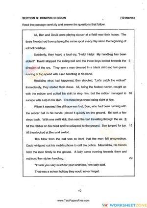 Reading Comprehension 3