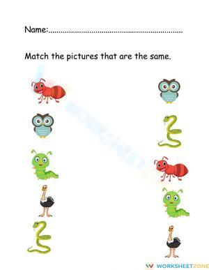 Matching the same pictures