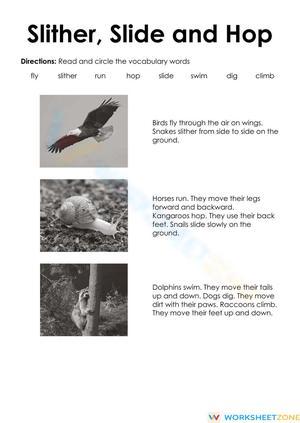 Printable Grade 1 Creature Feature Reading Worksheet