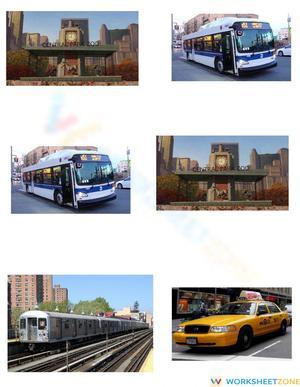 Central Park Zoo Matching | Essential Grade K-1 ELA