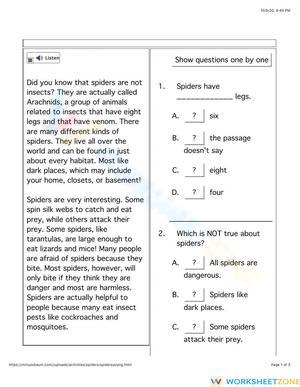 Grade 4 Spiders — Printable No-Prep Worksheet