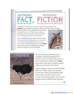Animal fact , Animal fiction