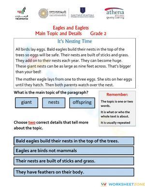 Printable Main Topic Worksheet: Eagles & Eaglets | Grade 2