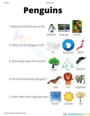 Penguin questions