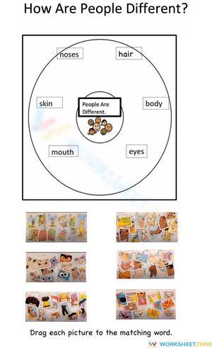 How Are People Different Circle Map | Grade K-2 Essential