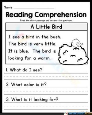 ELA Reading Comprehension Practice