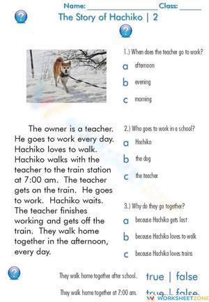 Essential Hachiko Reading Worksheet | Grade 3 Aligned