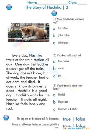 Essential Hachiko Story Reading Comprehension | Grade 3