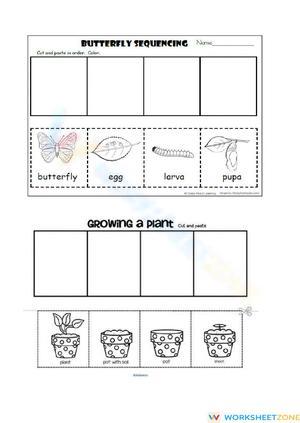 Life Cycle Sequencing: Butterfly & Plant