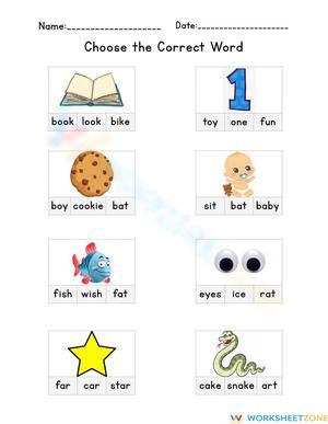 Practice Recognizing Common Sight Words