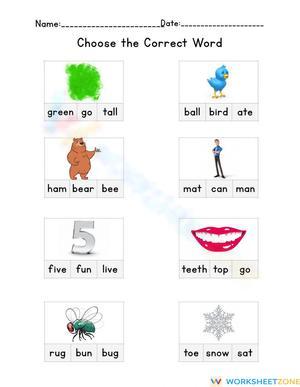 Sight Words