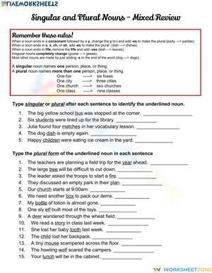 Grade 3 Plural Nouns — Printable No-Prep Worksheet