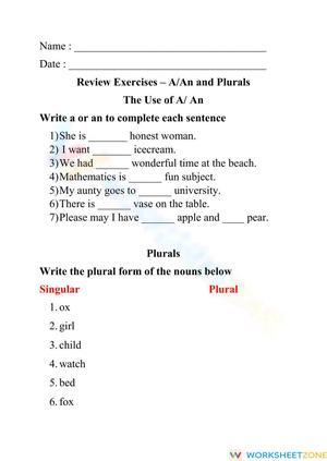 Grade 2 Plurals & Articles — Printable No-Prep Worksheet