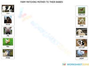 Farm Matching - Mother to their Babies
