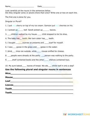 Singular and Plural Nouns with Sentence Practice