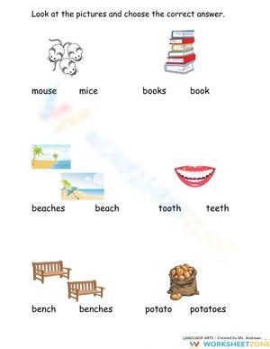 Plurals