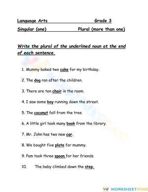 Grade 3 Plural Nouns — Printable No-Prep Worksheet