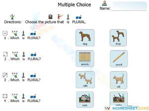 Which is plural?