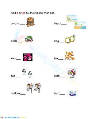 Singular and Plural Nouns Practice