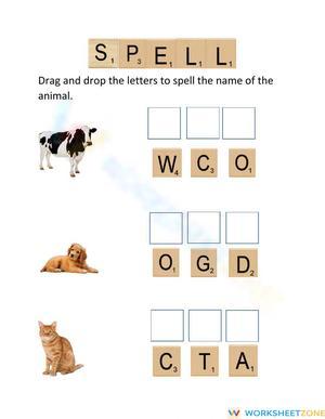 Spell