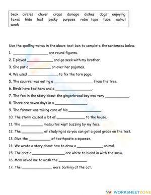 Essential Spelling Practice Worksheet | Grade 2 ELA