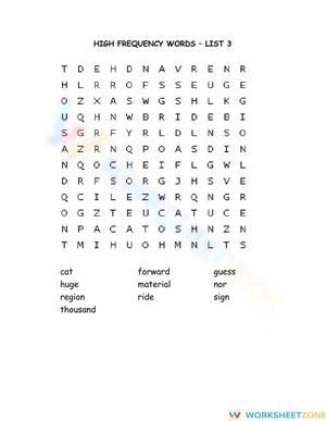 High Frequency Words Worksheet | Grade 5-8 Essential