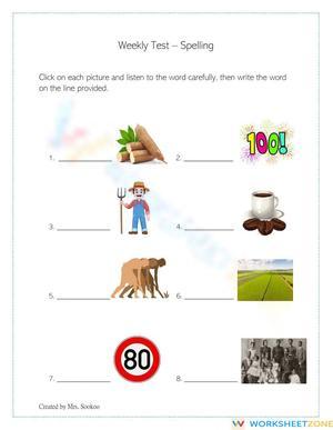 Essential Grade 2-3 Spelling Test | Printable Worksheet