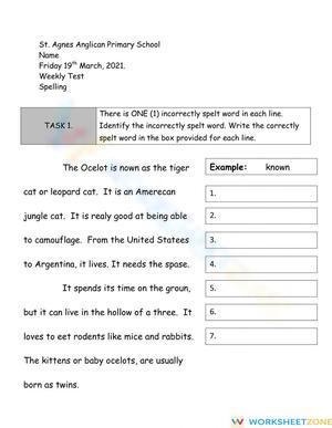 Essential Grade 4 Spelling: High Frequency Words Worksheet